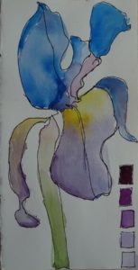 A painting of an iris with purple and blue colors.