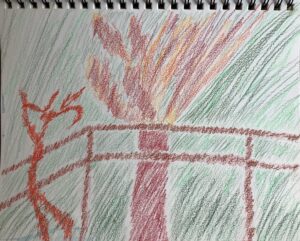 A drawing of a tree and fence with red lines.